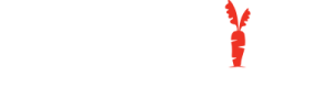 breckenridge sunday market logo