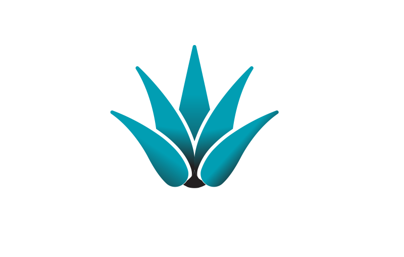 Breckenridge Agave Festival